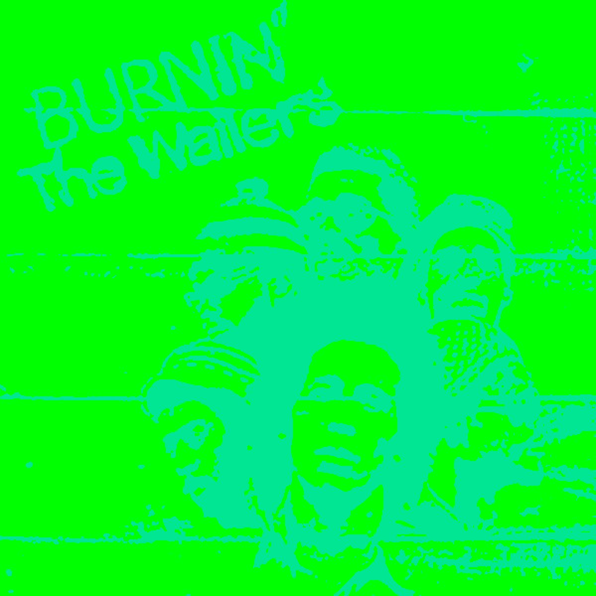 The Wailers Burnin