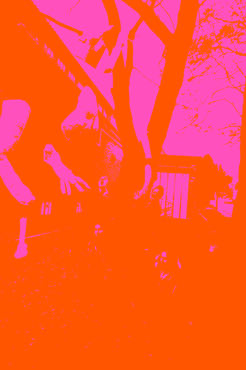 P1010858