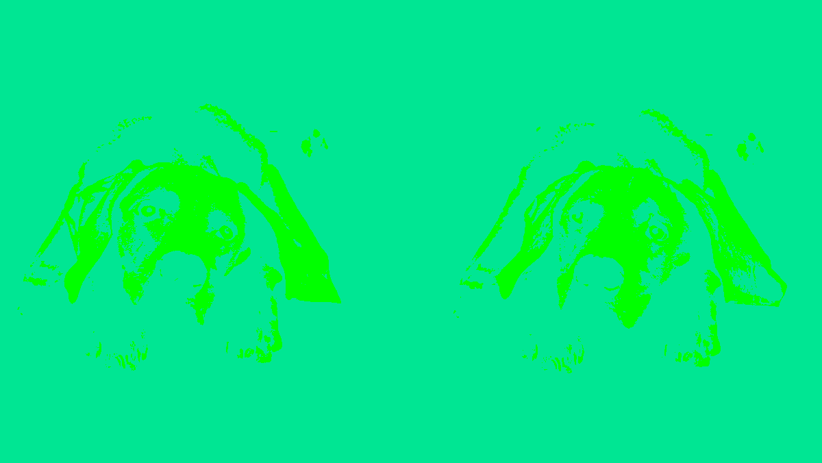 KS PR VAFK 14 01 William Wegman 01